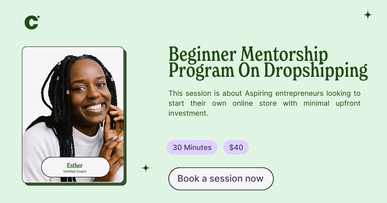 Beginner Mentorship Program On Dropshipping